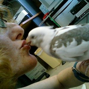 Meet your Posher, Karma